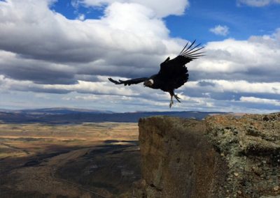 into-the-wild-trekking-mirador-condores-05